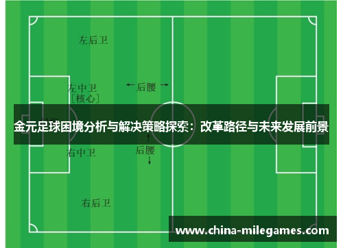 金元足球困境分析与解决策略探索：改革路径与未来发展前景