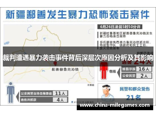 裁判遭遇暴力袭击事件背后深层次原因分析及其影响
