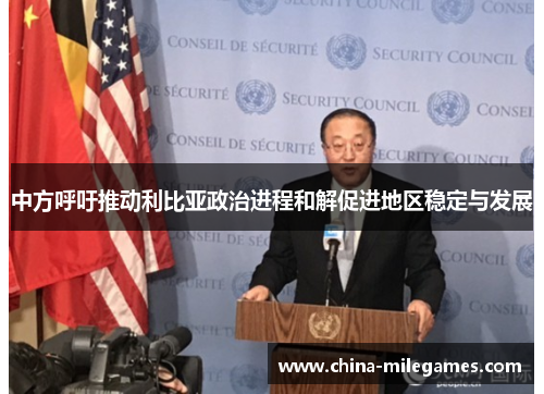 中方呼吁推动利比亚政治进程和解促进地区稳定与发展