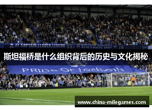 斯坦福桥是什么组织背后的历史与文化揭秘